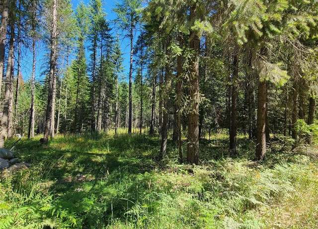 Property at NNA Bear Claw Rd, Clark Fork, ID 83811