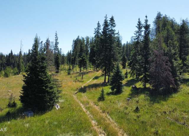 Property at Parcel 10 Green Valley Rd, Fernwood, ID 83830
