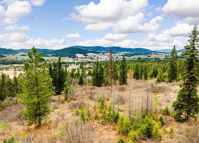 Property at 497 Thimbleberry Ln, Plummer, ID 83851