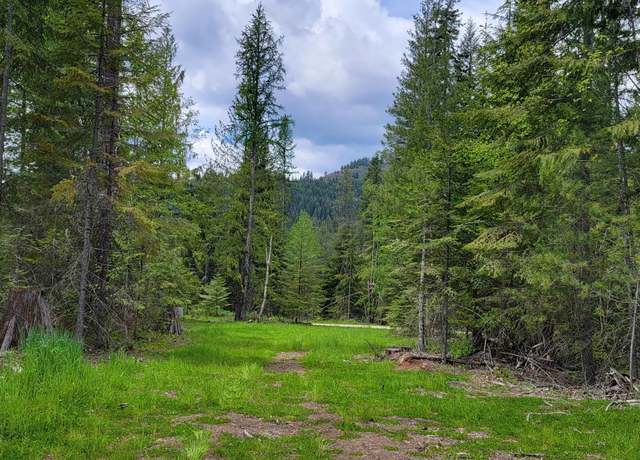 Property at NNA Pup Paw Trail - North, Priest River, ID 83856