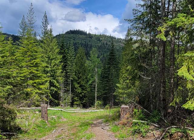 Property at NNA Pup Paw Trail - South, Priest River, ID 83856