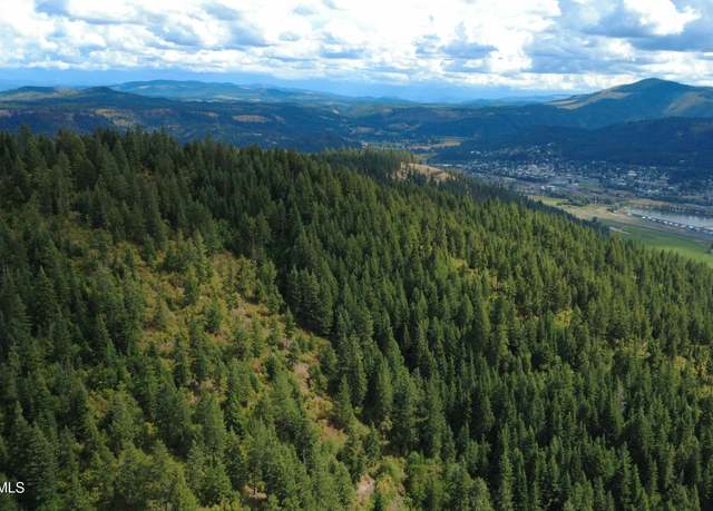 Property at NKA Ridgeview Dr E2, St. Maries, ID 83861