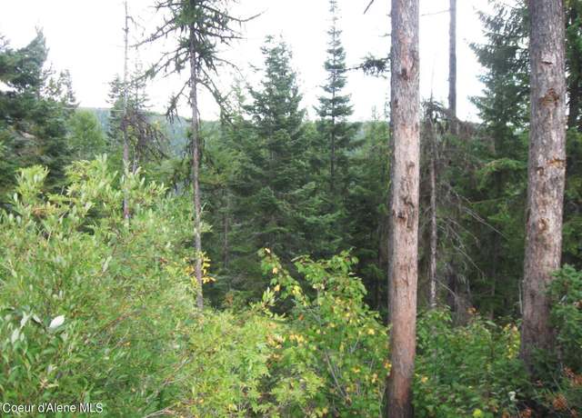 Property at NKA Parallel Run Blk 6 Lot 10, Sandpoint, ID 83864