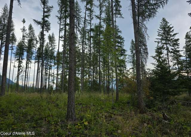 Property at NNA Westside RD Parcel 12, Bonners Ferry, ID 83805