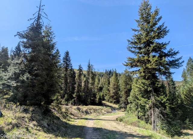 Property at NKA Sheep Creek Rd, Santa, ID 83866