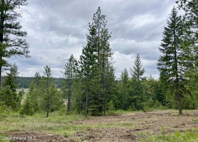 Property at 12 Acres Elizabeth Ln, Athol, ID 83801