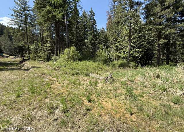 Property at NKA Paper Ln, Tensed, ID 83870