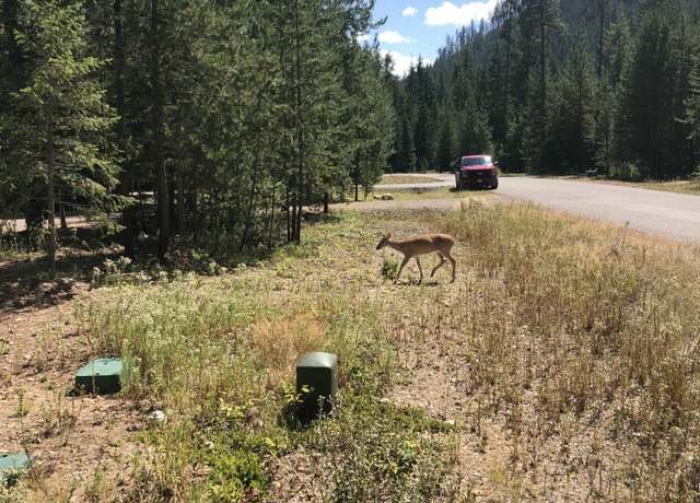 Property at L25 Tracy Ln, Priest Lake, ID 83856