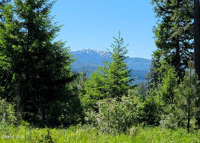 Property at NNA Falcon Ridge Drive - #1, Naples, ID 83847