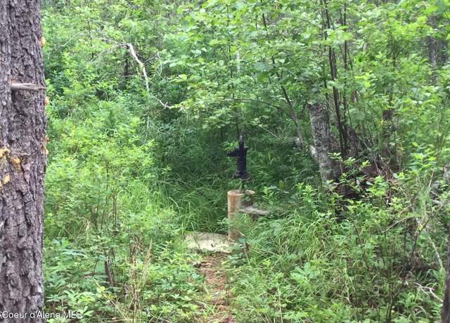 Property at 158 Dubius Creek Rd, Priest River, ID 83856