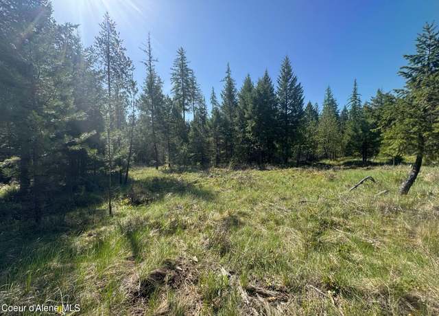 Property at NKA Backroads Way Lot 2, Priest River, ID 83856