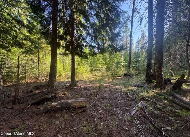 Property at NNA Backroads Way Lot 3, Priest River, ID 83856