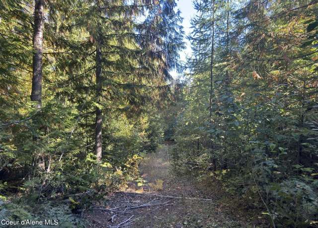 Property at NNA Rustic Way North Lot 8, Spirit Lake, ID 83869