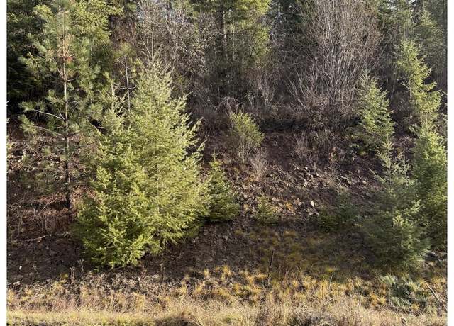 Property at L15b1 Johnson Meadows Ests, Harrison, ID 83833