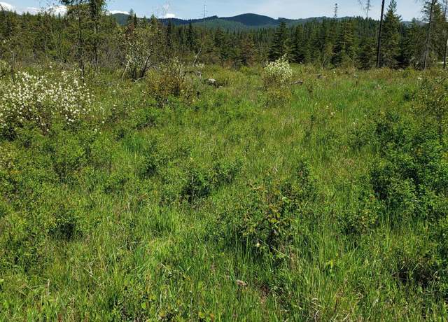 Property at 313, Lot 1 Sunset Dr, Fernwood, ID 83830