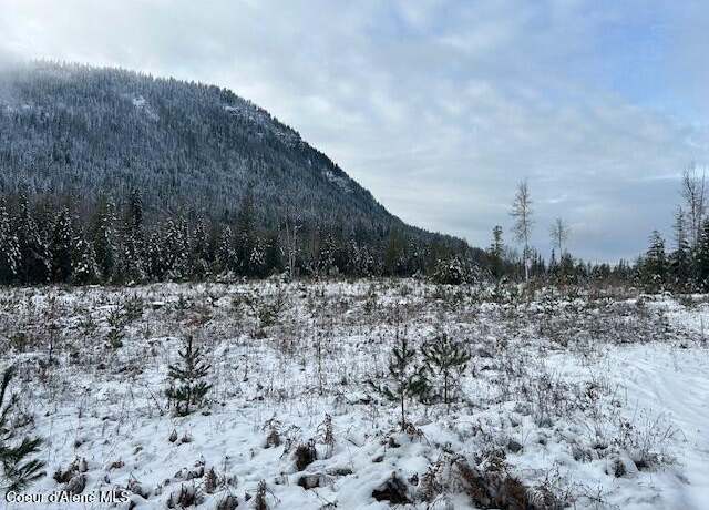 Property at NKA Nfd 2294 Tract 1, Clark Fork, ID 83811