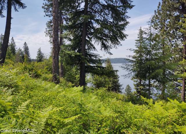 Property at 19XXX S Headlands Dr, Harrison, ID 83833