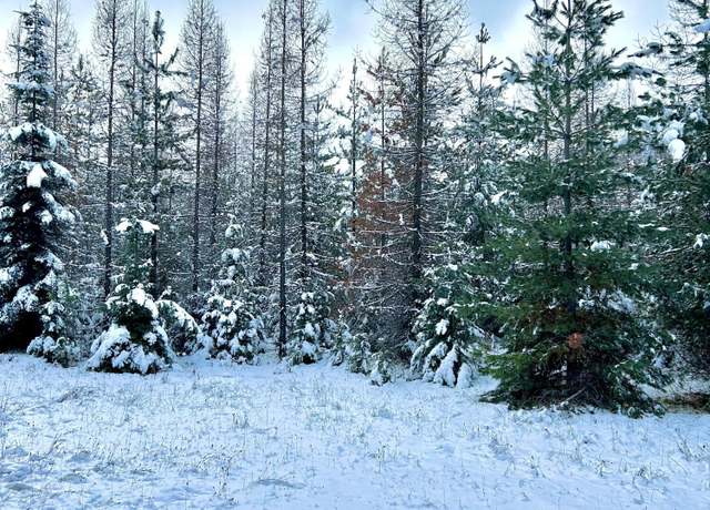Property at NKA Nfd 2294, Clark Fork, ID 83811
