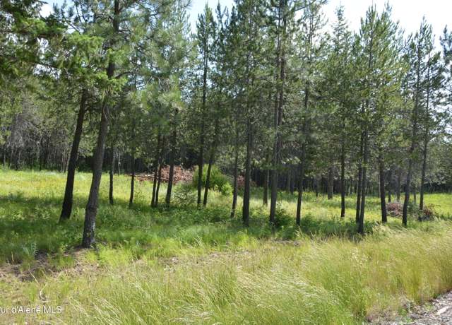 Property at NKA N Sylvan Road Rd, Athol, ID 83801