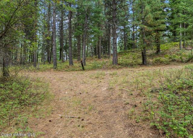 Property at 479 Lochsa Ln, Kingston, ID 83839