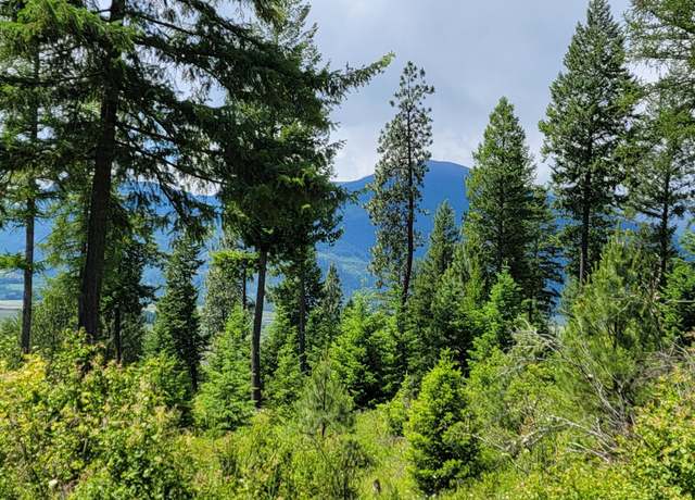 Property at NNA Continental Lane-parcel 4, Bonners Ferry, ID 83805