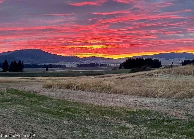 Property at 387 Starling Ln, Plummer, ID 83851