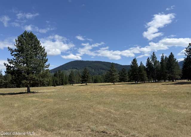 Property at NKA Bunco Lot 2, Athol, ID 83801