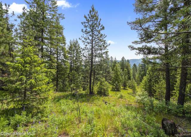 Property at 685 Blanchard-elk Rd, Blanchard, ID 83804