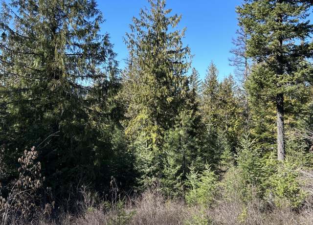 Property at NNA Blacktail Rd, Cocolalla, ID 83813