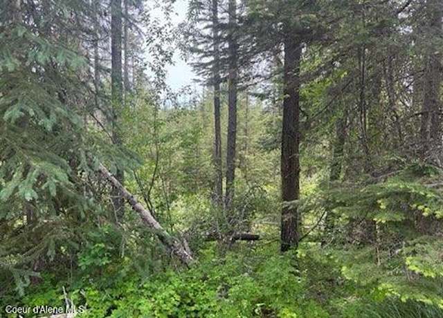 Property at 611 Willow Loop, Fernwood, ID 83830