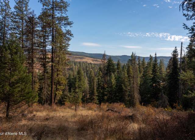 Property at NNA Glacier Dr, St. Maries, ID 83861