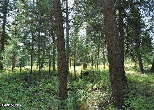 Property at 39 Forest Ridge Rd, Blanchard, ID 83804