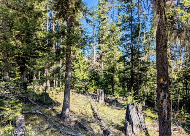 Property at Sheep Creek Rd, Santa, ID 83866