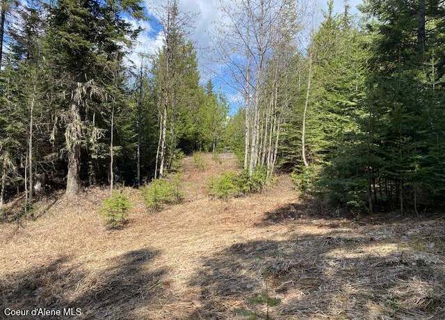 Property at NNA Upper Gold Crk Rd, Sandpoint, ID 83864