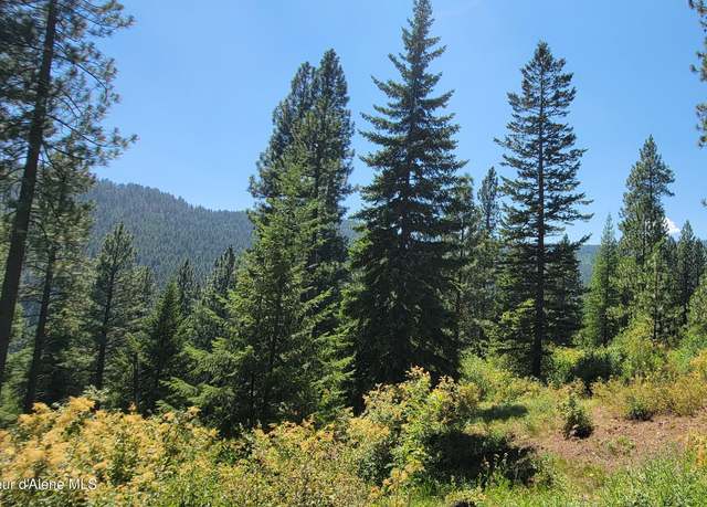 Property at NNA Snowcat Ln Tract 4, Bonners Ferry, ID 83805