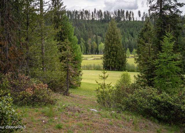 Property at 207 Long Lot#4 Dr, Priest Lake, ID 83856