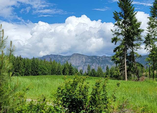 Property at NNA Bootlegger Lane- Parcel 1, Bonners Ferry, ID 83805