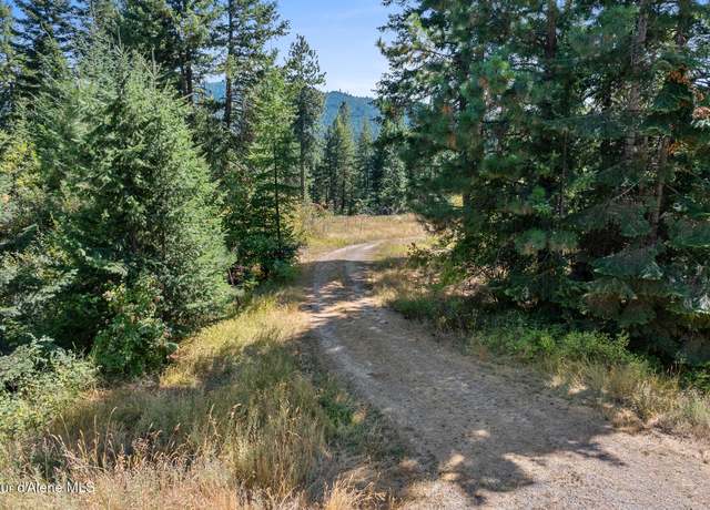 Property at Lot 4 Fsr 439, Harrison, ID 83833