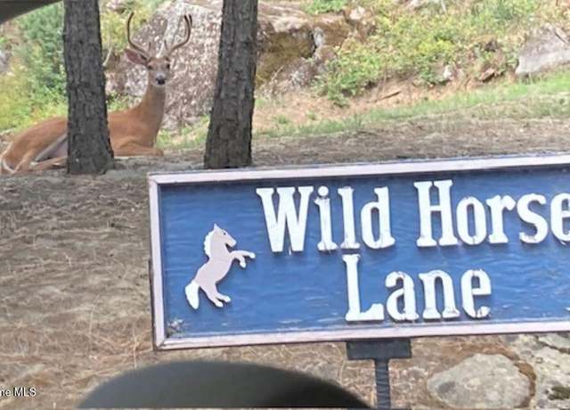 Property at 7376 Wild Horse Ln, Bonners Ferry, ID 83805