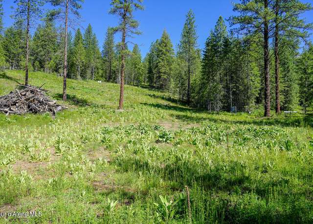 Property at NKA Meadowland Dr, Blanchard, ID 83804