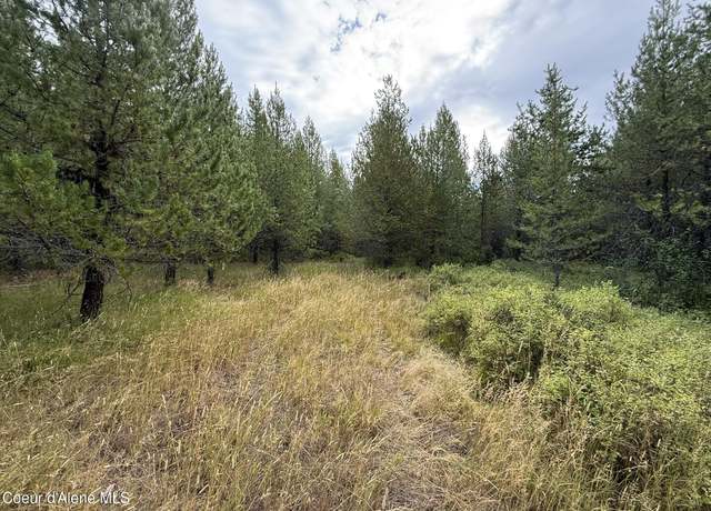 Property at 170 Buckeye Ln, St. Maries, ID 83861