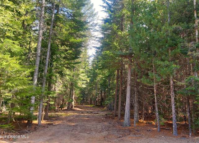 Property at NKA Wandering Wolf Ridge, Lot 3, Clark Fork, ID 83811