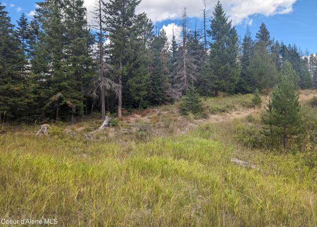Property at NKA Founders Rd, Emida, ID 83861