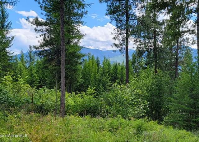 Property at NNA Bootlegger Lane- Parcel 1, Bonners Ferry, ID 83805