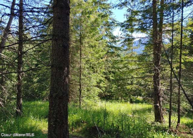 Property at NKA Railroad Grade Rd, St. Maries, ID 83861