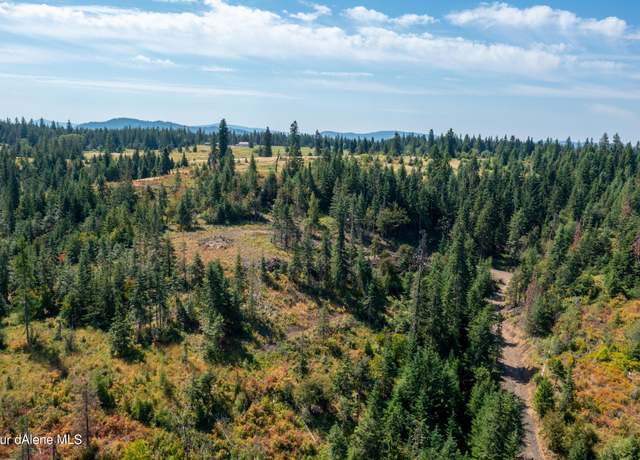 Property at NNA E Bell Canyon Rd, Harrison, ID 83833