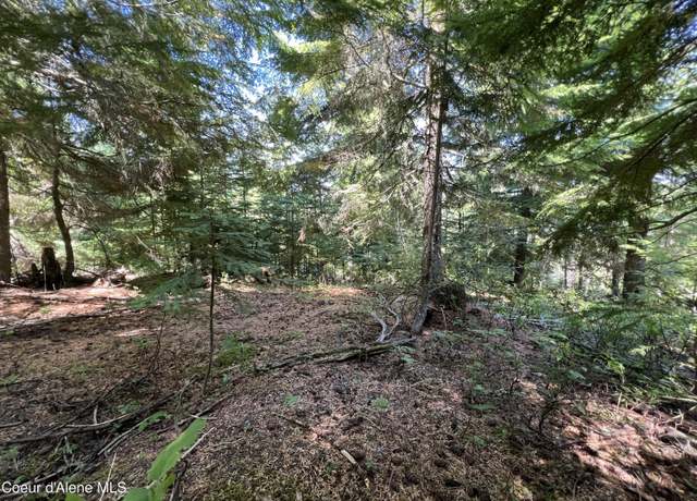 Property at 520 Alpine Dr, Fernwood, ID 83830
