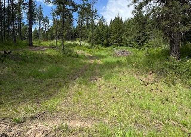 Property at 0 Rawhide Dr, Plummer, ID 83851