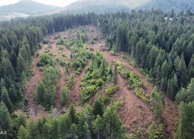 Property at NKA Trinity Ln, St. Maries, ID 83861
