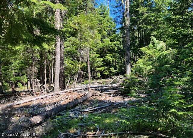 Property at NNA Toad Road ( 5acres), Priest River, ID 83856